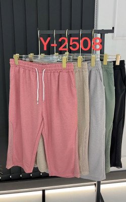 Брюки (2508)