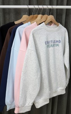 Толстовка (811)